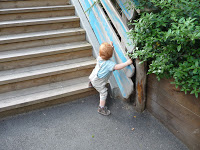 bébé au zoo bébé au zoo