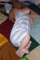 Motricité libre Motricité libre